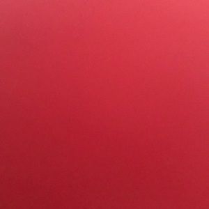 Meet your Posher, Latasha